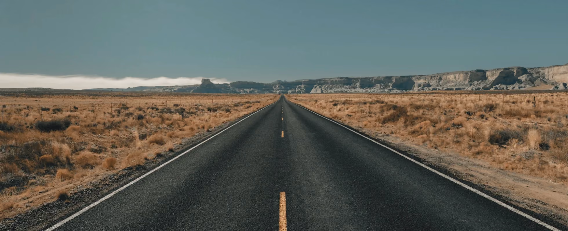 Comprehensive Guide to Moving: Understanding Your Options with Cactus Moving
