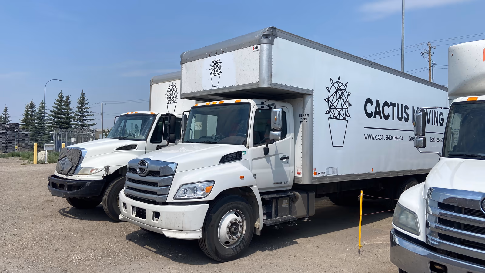 Three Cactus Moving trucks parked side by side