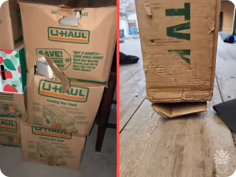 Cons of cardboard boxes - torn apart boxes